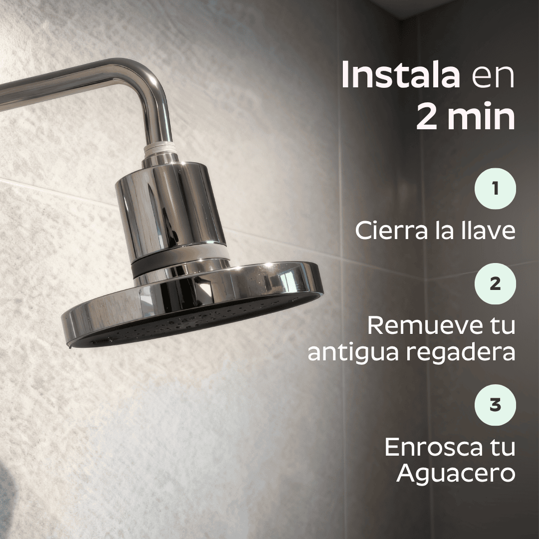 Ducha Purificadora Aguacero