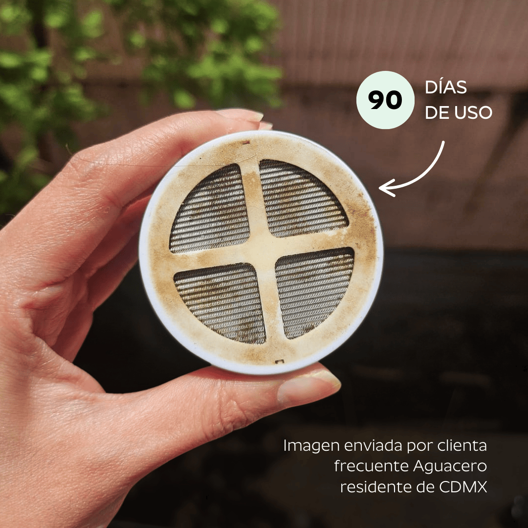 Ducha Purificadora Aguacero