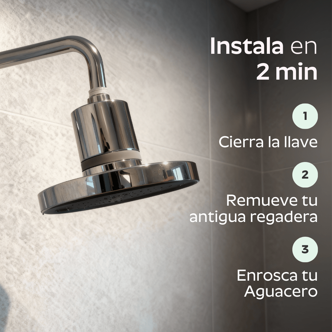 Ducha Purificadora Aguacero