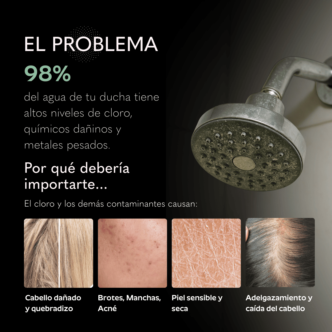 Ducha Purificadora Aguacero