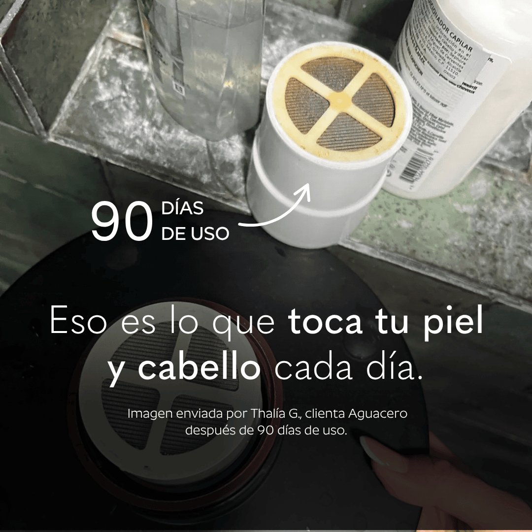 Ducha Purificadora Aguacero