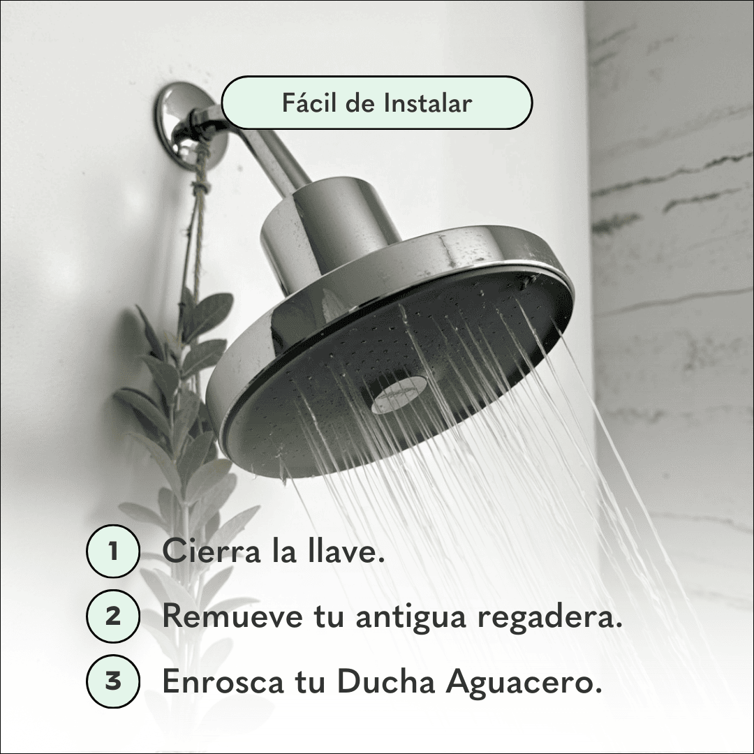 Ducha Purificadora Aguacero