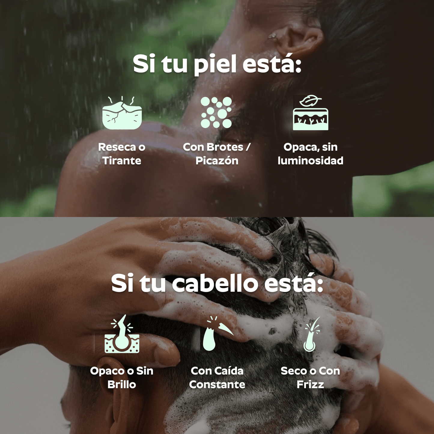 Ducha Purificadora Aguacero