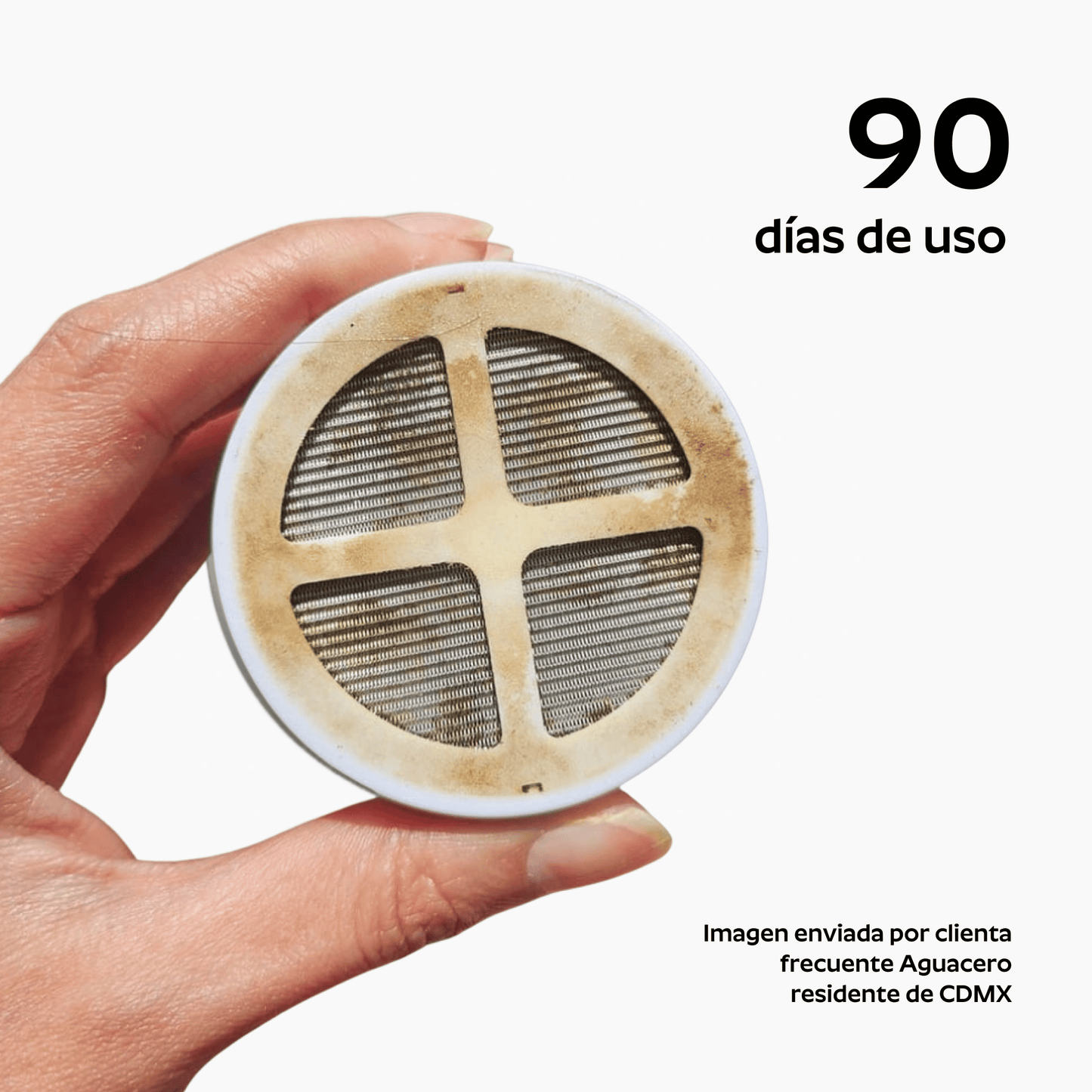 Ducha Purificadora Aguacero