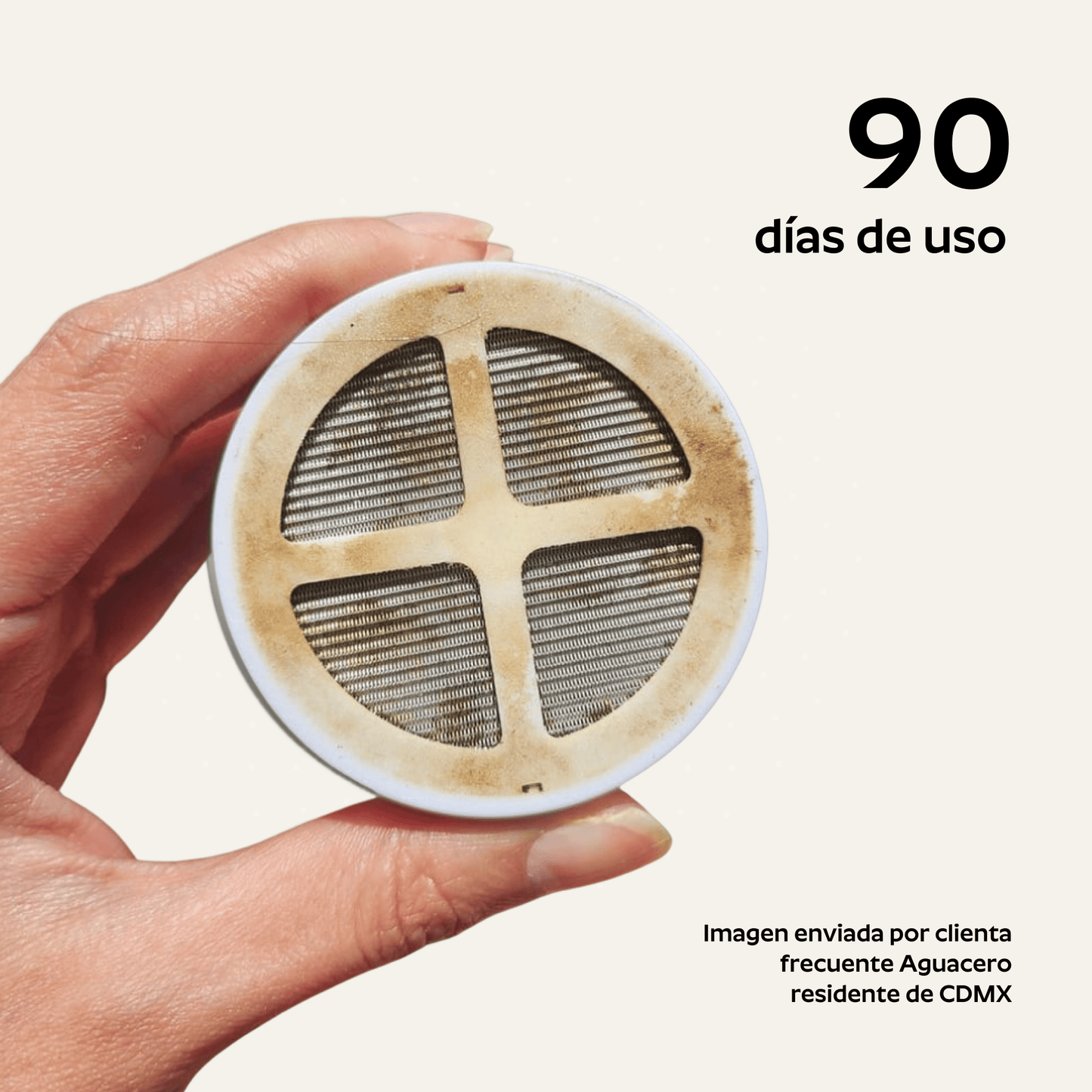 Ducha Purificadora Aguacero