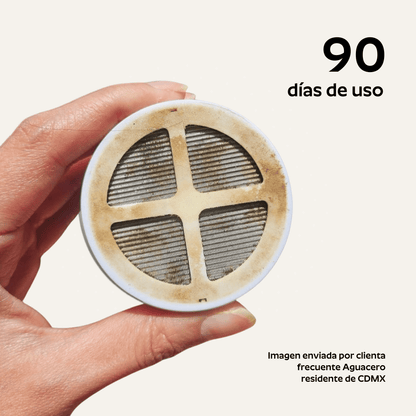 Ducha Purificadora Aguacero