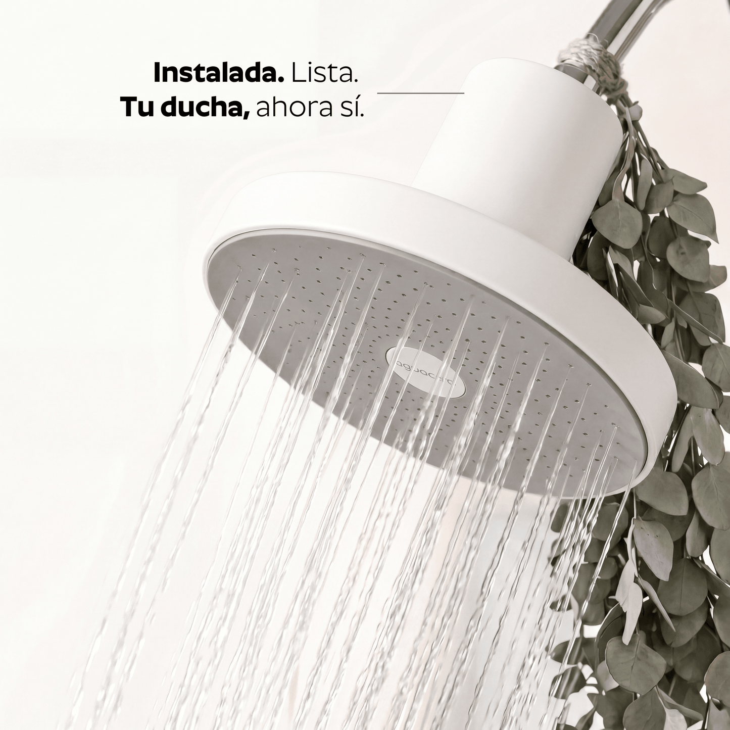 Ducha Purificadora Aguacero