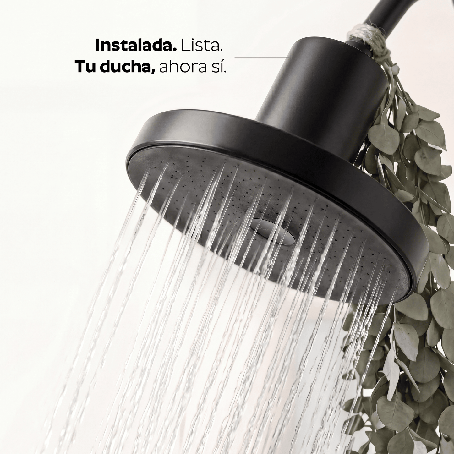 Ducha Purificadora Aguacero