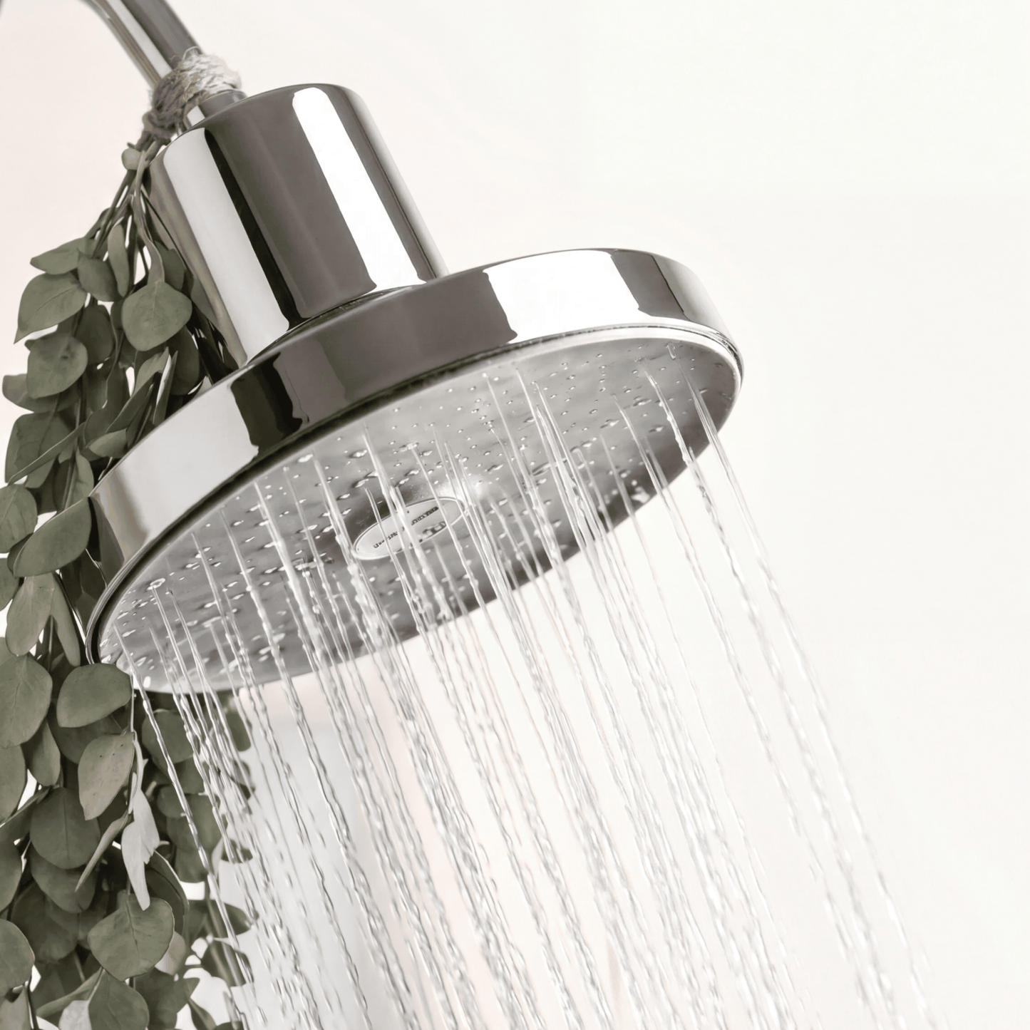 Ducha Purificadora Aguacero