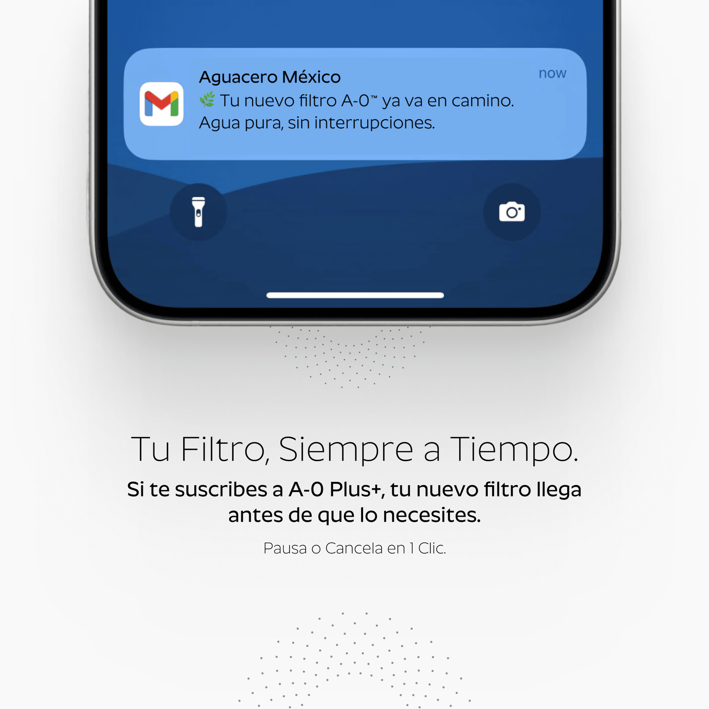 Ducha Purificadora Aguacero