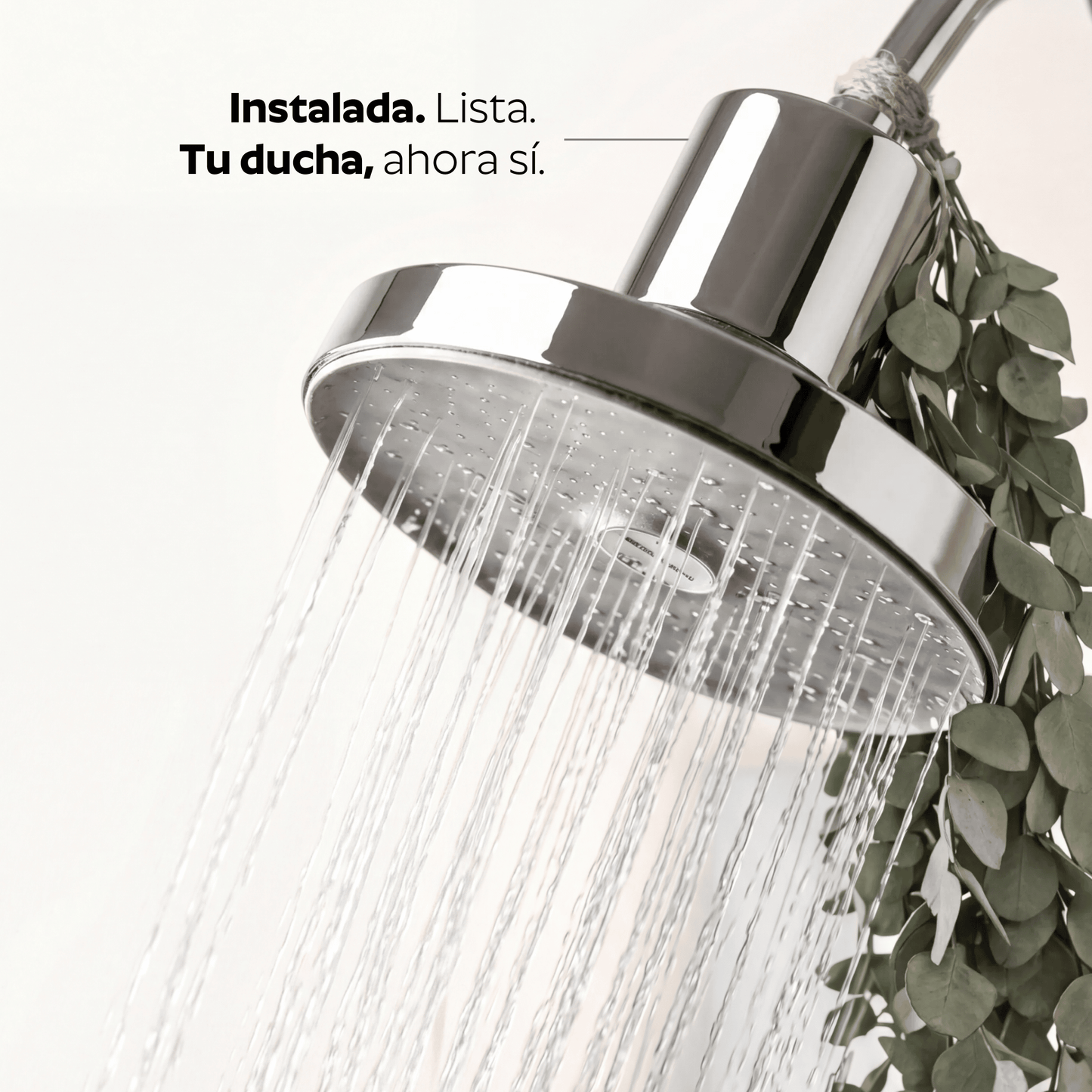 Ducha Purificadora Aguacero