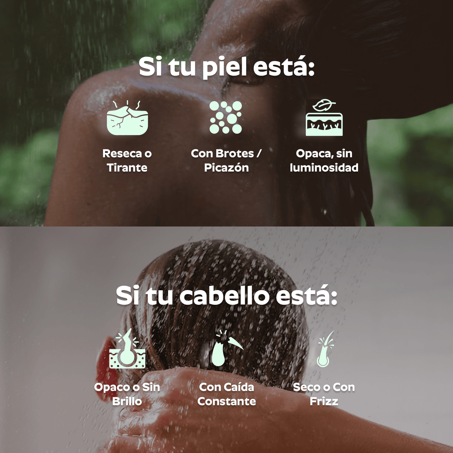 Ducha Purificadora Aguacero