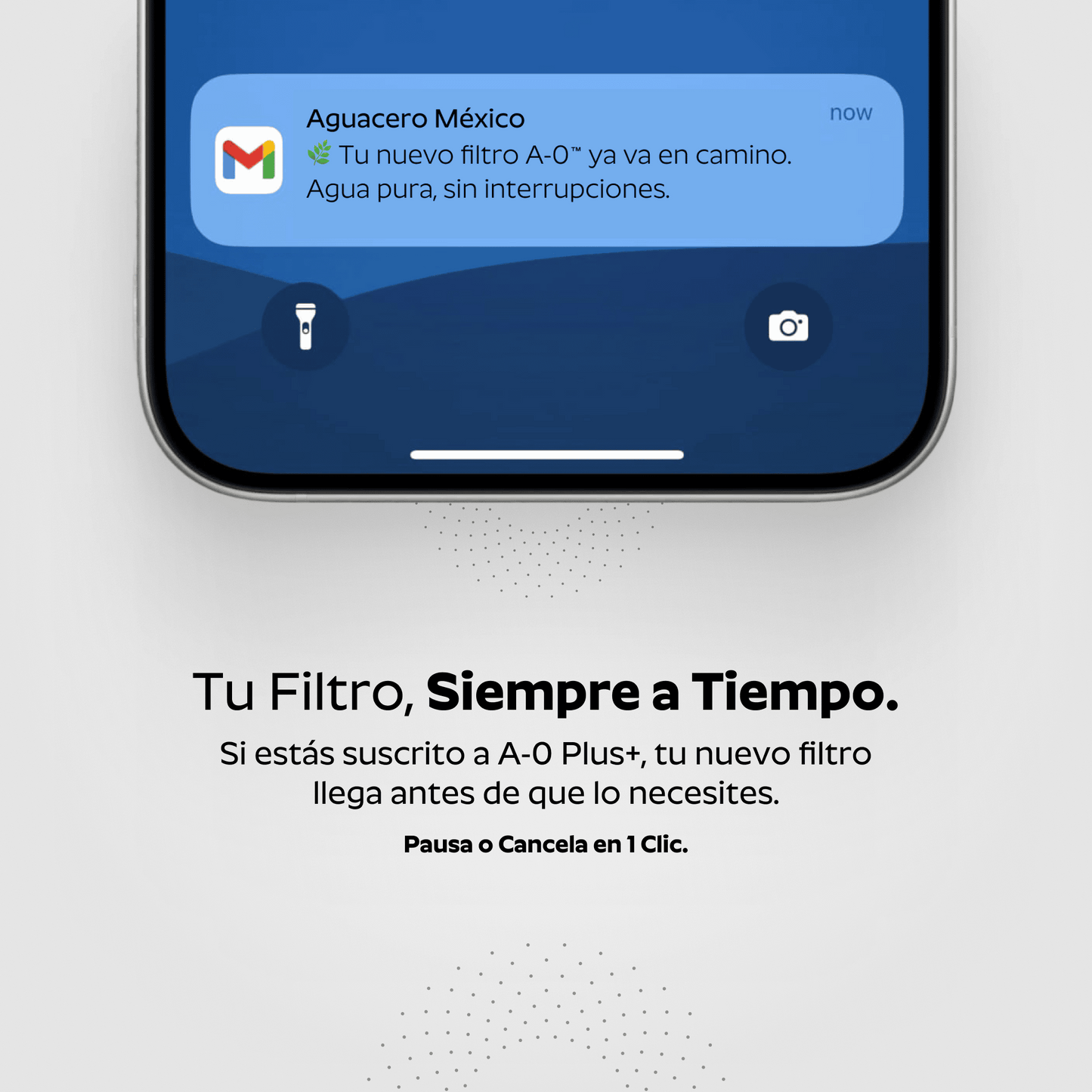 Ducha Purificadora Aguacero