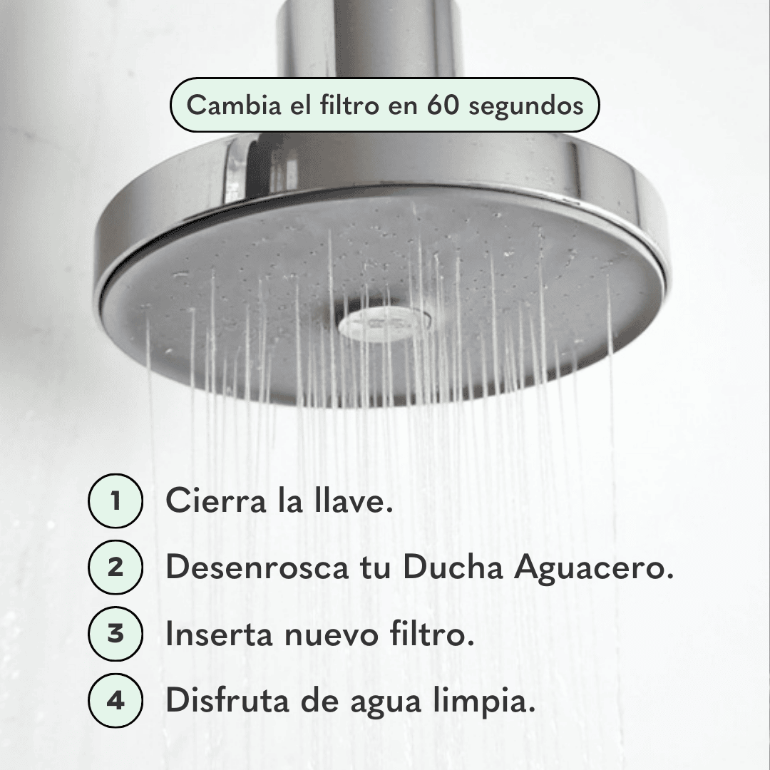 Ducha Purificadora Aguacero