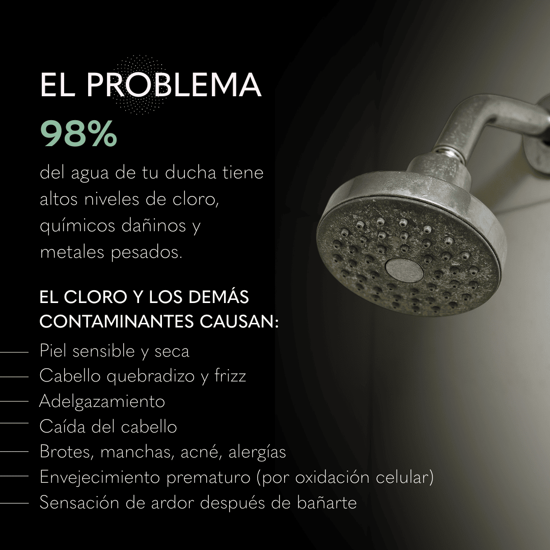 Ducha Purificadora Aguacero