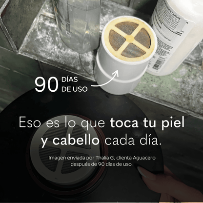 Ducha Purificadora Aguacero