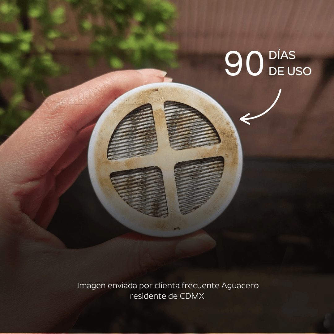 Ducha Purificadora Aguacero