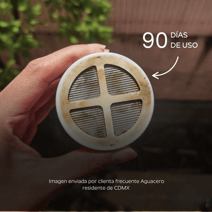 Ducha Purificadora Aguacero
