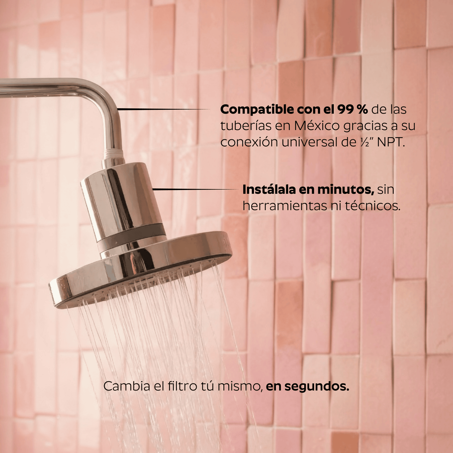 Ducha Purificadora Aguacero