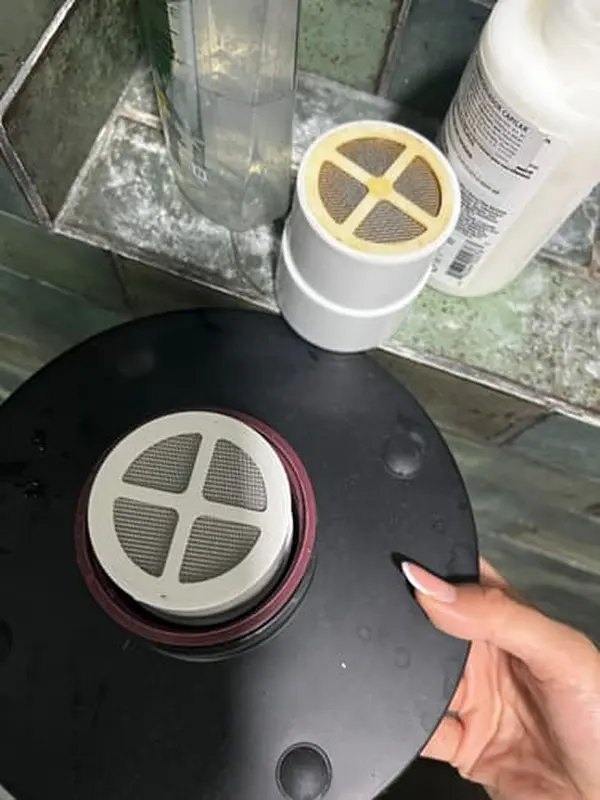 Foto de la reseña de Thalia G.