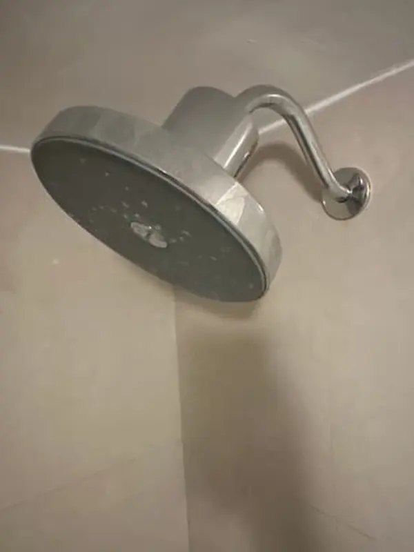 Foto de la reseña de Anto