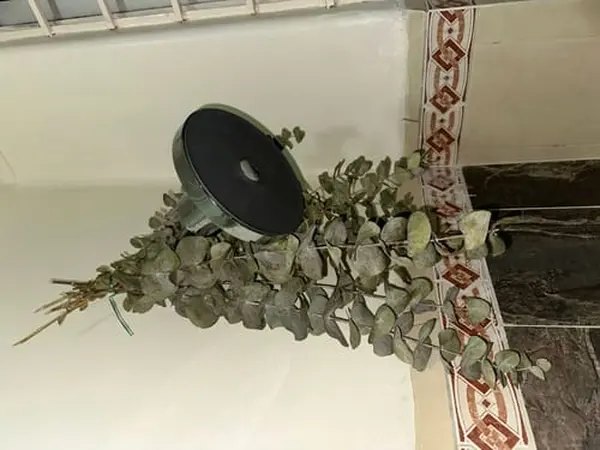 Foto de la reseña de Ana S.